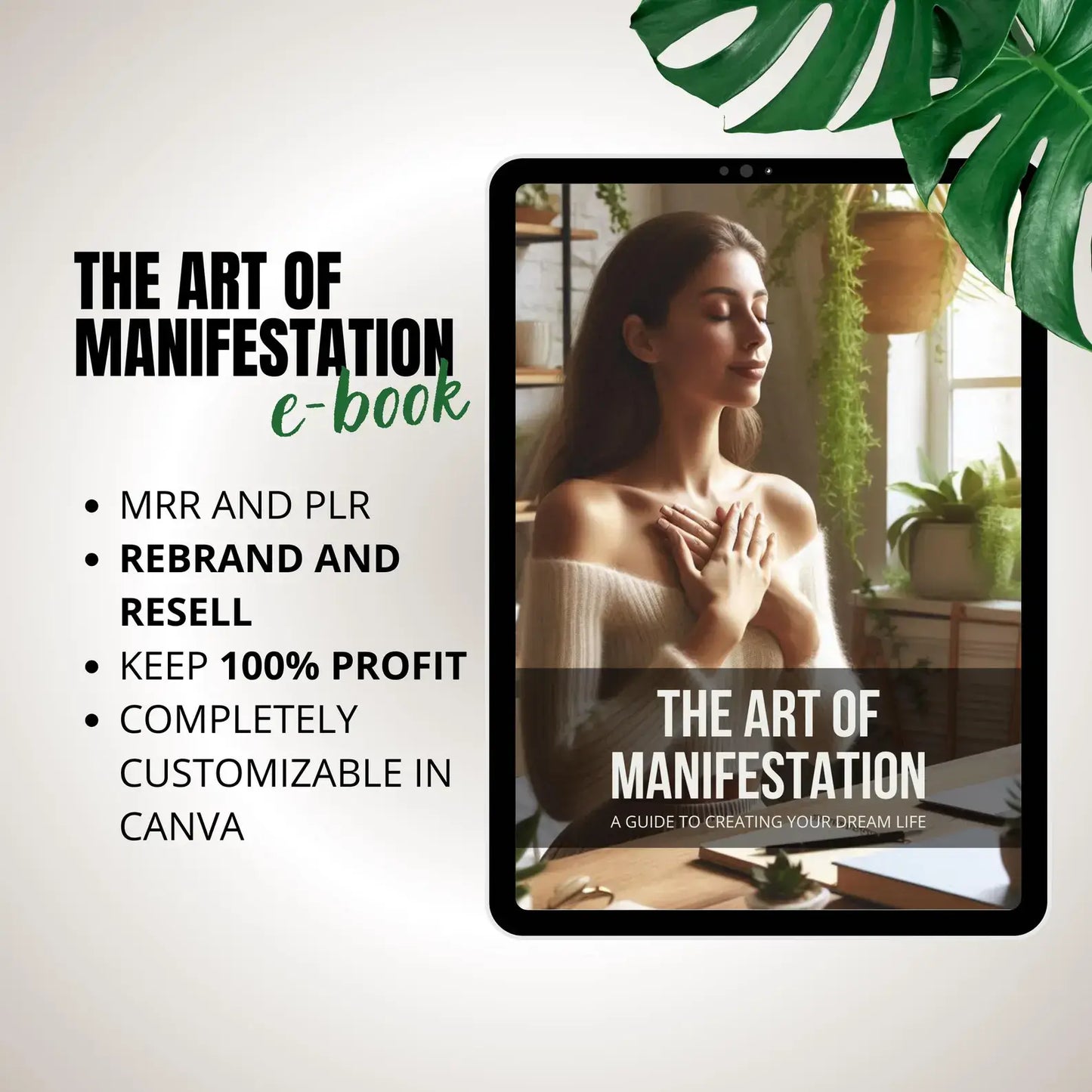 PLR Manifestation E-Book with Master Resell Rights
