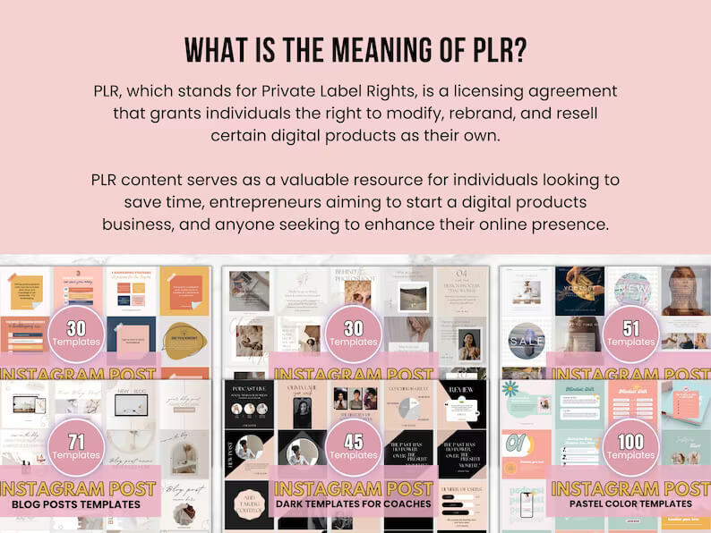 780+ Editable PLR Templates Bundle