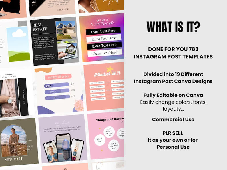 780+ Editable PLR Templates Bundle