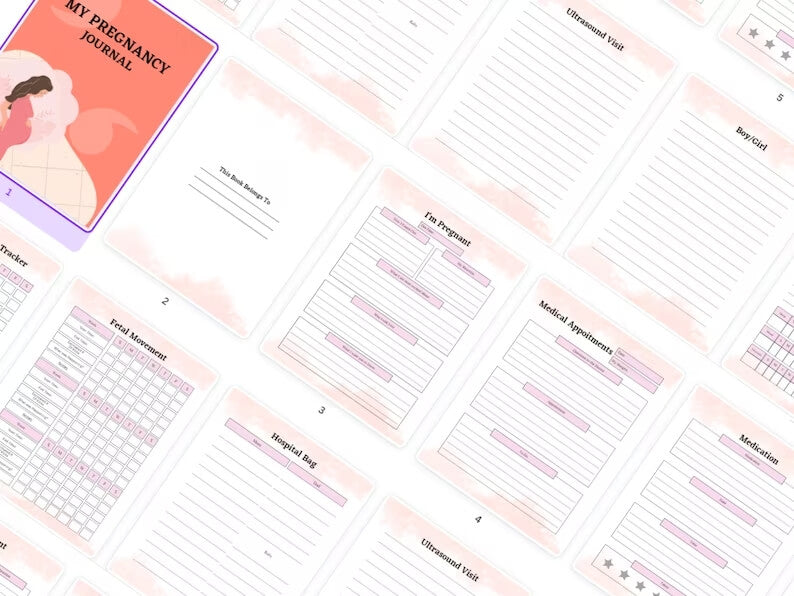 850 Pages PLR Planners/Journals/Templates - Master RESELL Rights, Planners (Editable & Printable)